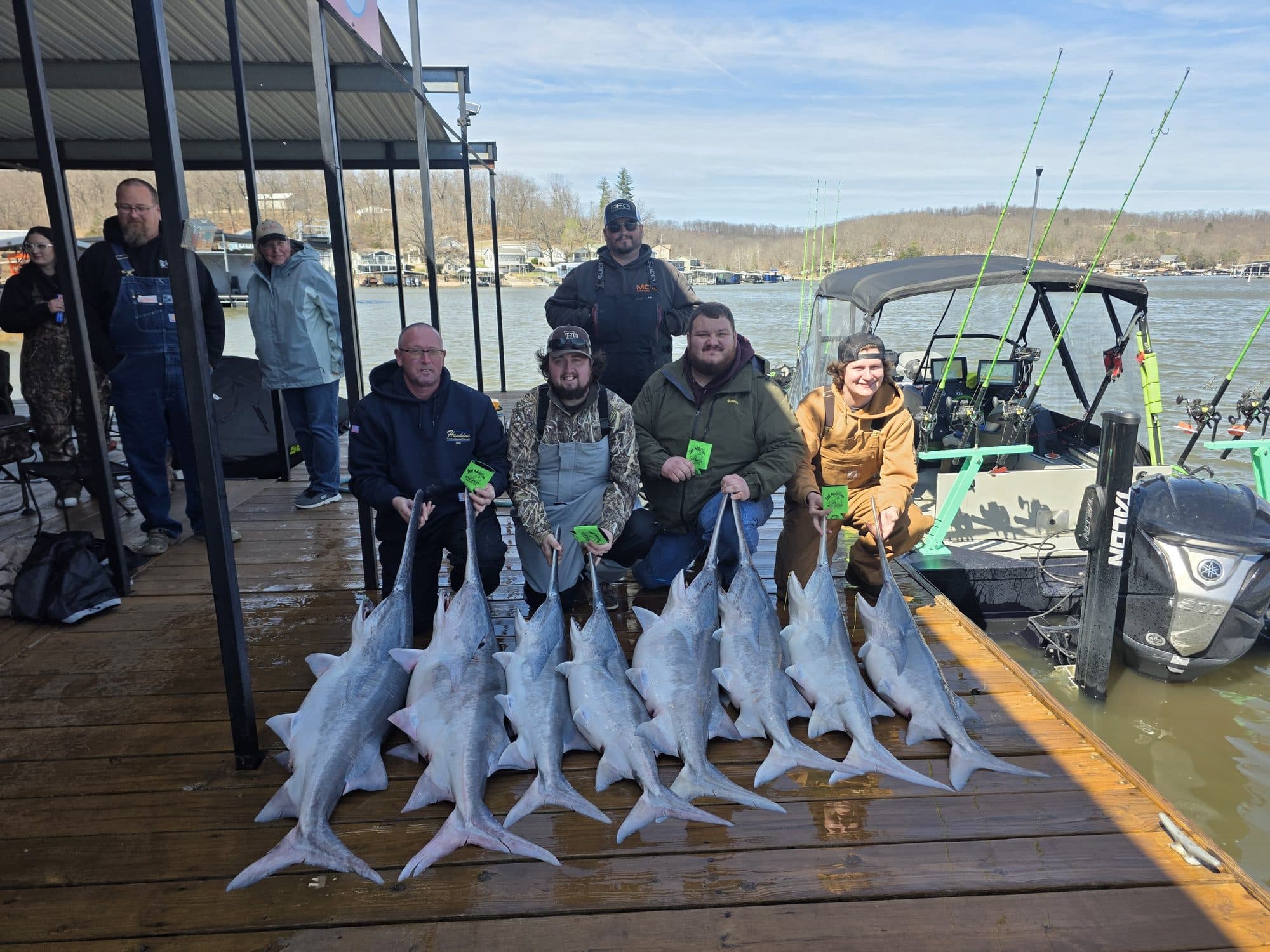 Large group dock haul of spoonbill