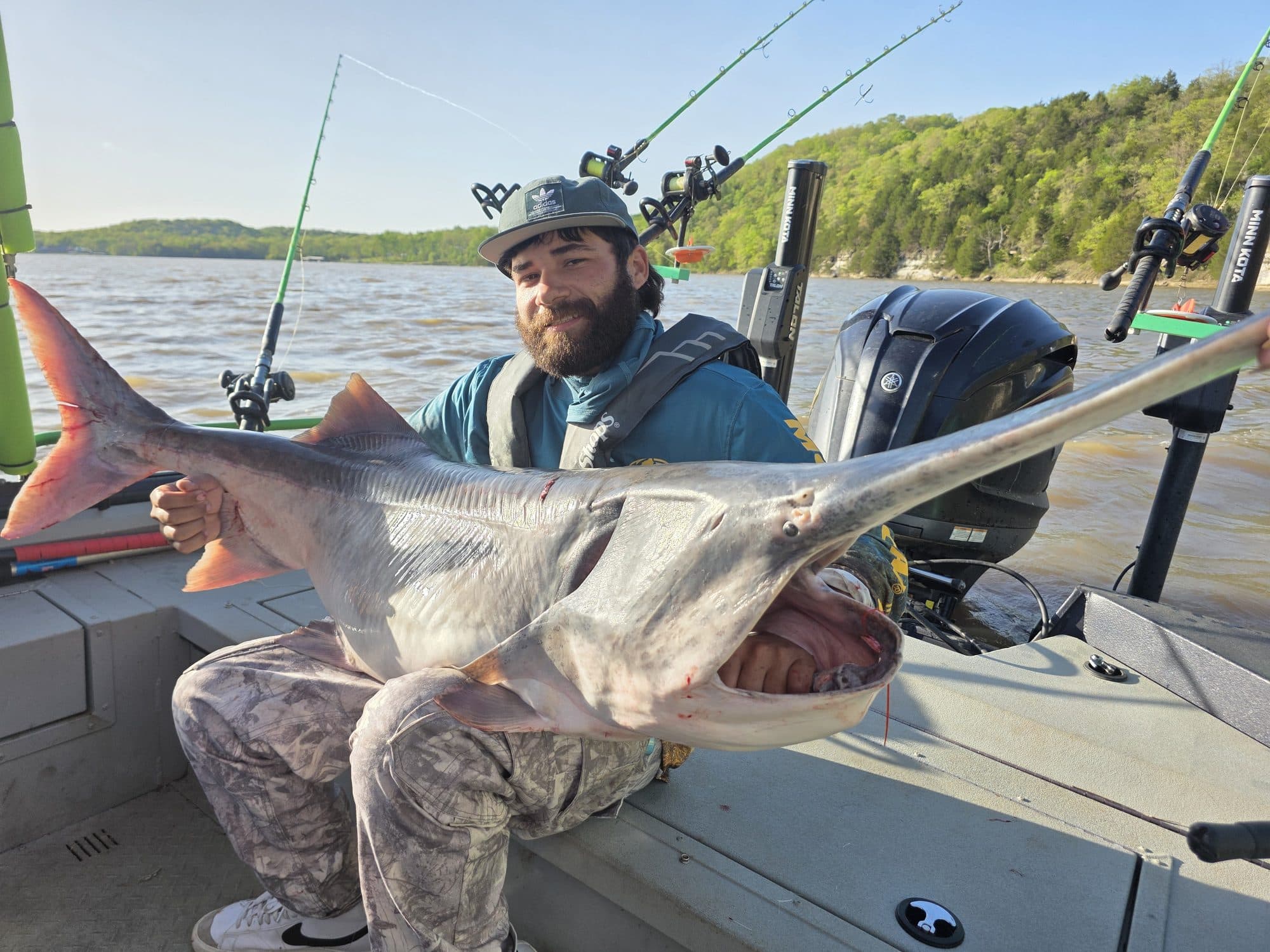 Solo angler with an evening spoonbill catch