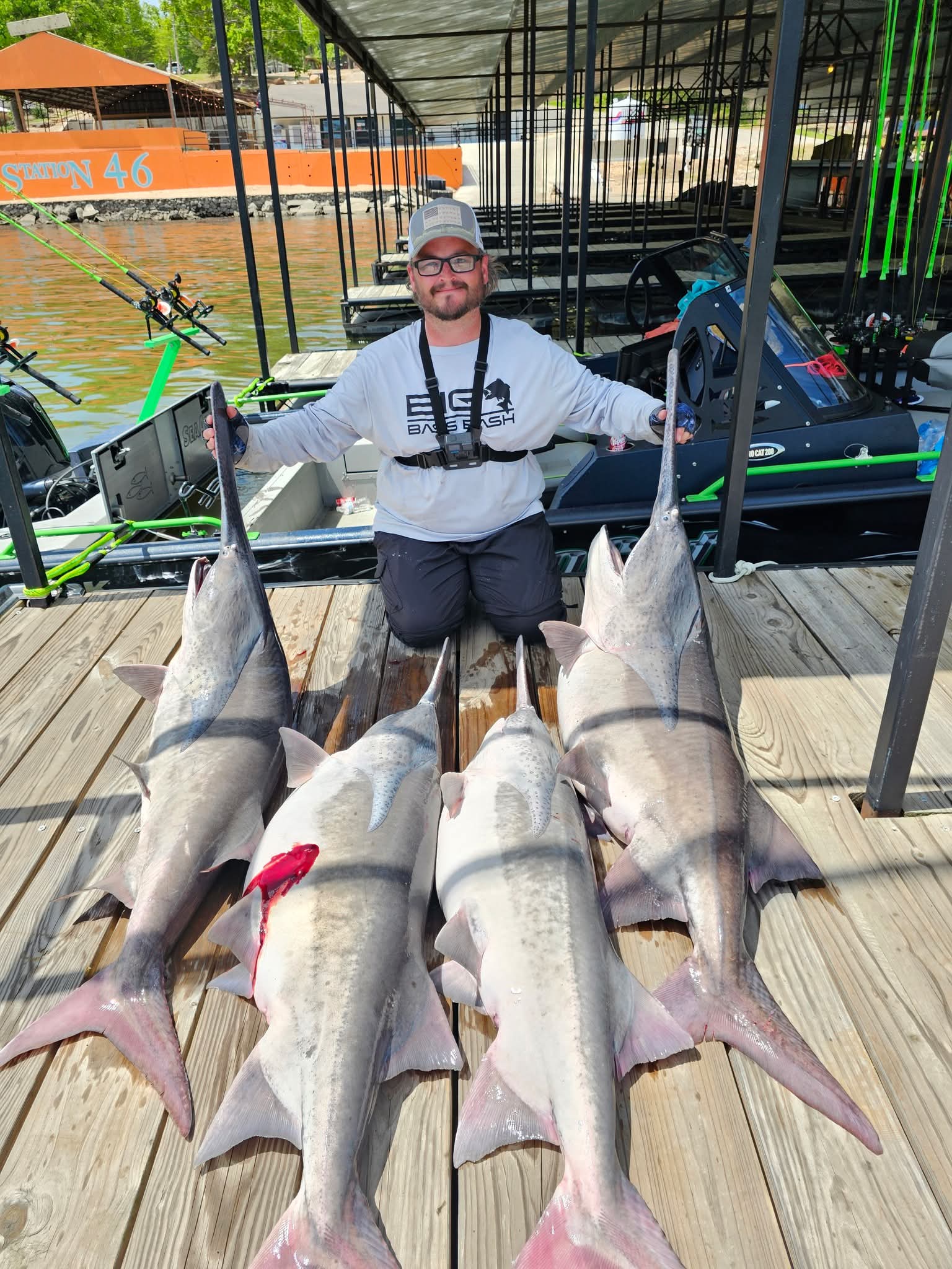 Four-spoonbill haul at Station 46