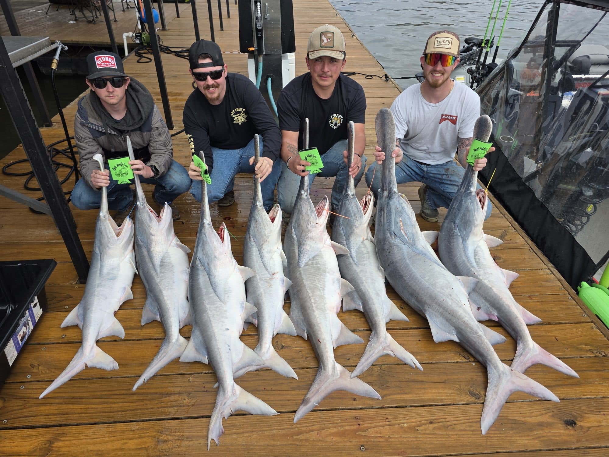Three anglers with a dock haul of spoonbill