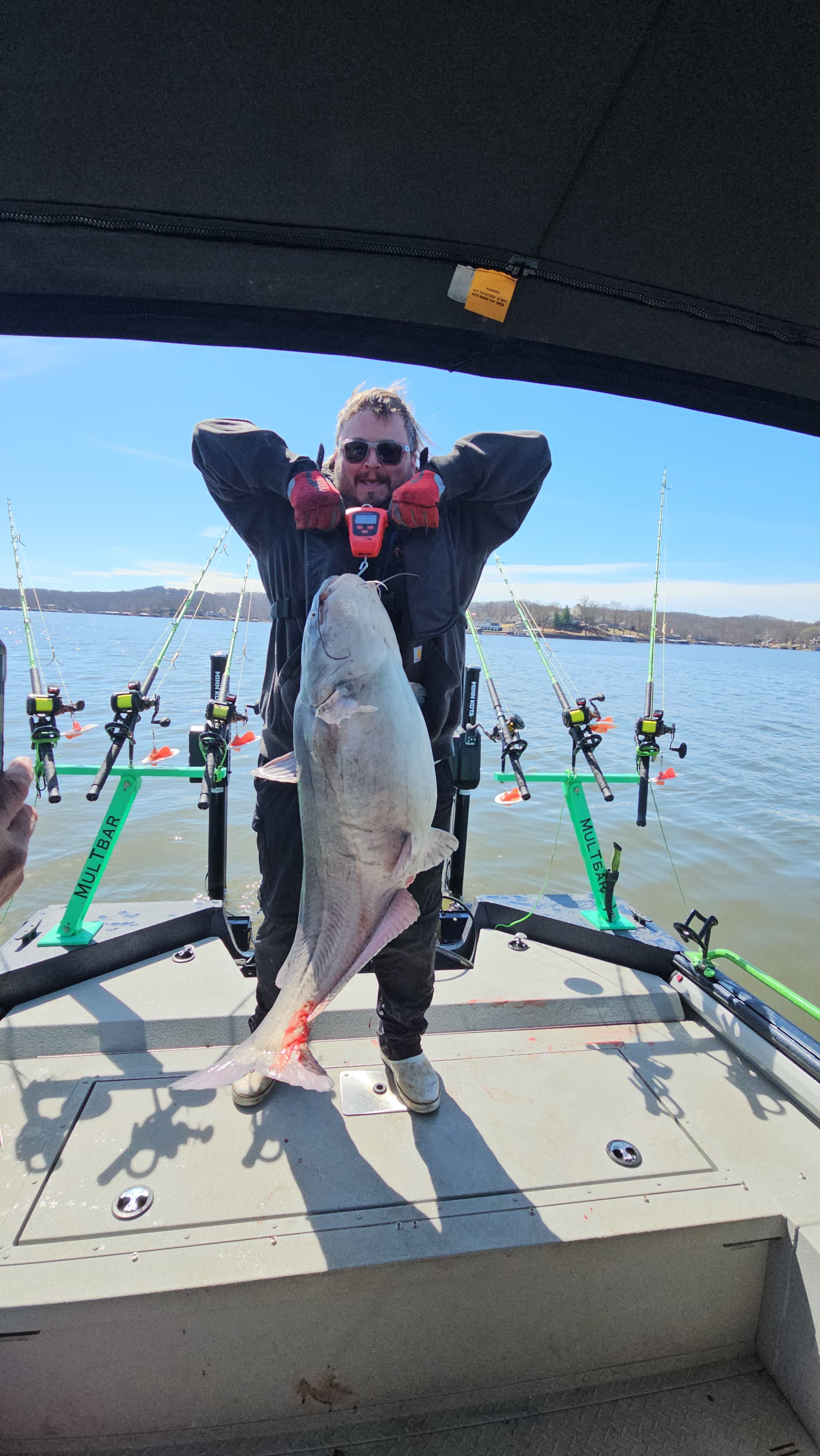 Trophy blue catfish on the river